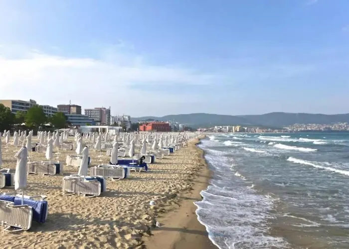 Romance Marin 410 Sunny *